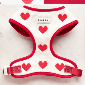 Set Harness Anjing Sherpa Pet Luxury Lamb Ukuran Kecil, Rompi Hangat Warna Solid, Logo Kustom, Aksesoris Hewan Peliharaan untuk Anjing dan Kucing - Product Image 1