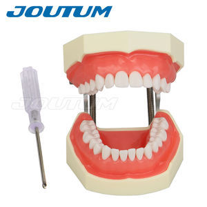 28 pezzi di denti rimovibili modello manuale di alimentazione dentale Typodont strumento per l'insegnamento del dentista forniture di laboratorio - Product Image 3