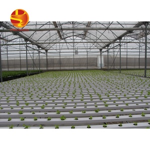 Sistema hidropónico <span class=keywords><strong>NFT</strong></span> de granja de lechuga comercial de invernadero Prasada - Product Image 2