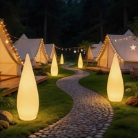 Lampe de paysage créative d'extérieur, décoration de pelouse, lampe LED debout, batterie rechargeable, lumière en forme de goutte d'eau, décoration de jardin LED
