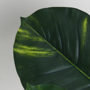 <span class=keywords><strong>Planta</strong></span> Artificial <span class=keywords><strong>de</strong></span> Epipremnum Aureum en Maceta, Decoración <span class=keywords><strong>de</strong></span> Interiores para Oficina, Hogar y Jardín, Plantas Artificiales - Product Image 3