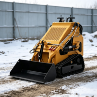 Mini Skid Steer Loader Mesin EPA 1000kg |   Loader Crawler Kompak Bersertifikasi CE dengan Bucket Berpenggerak, Harga Langsung Pabrik