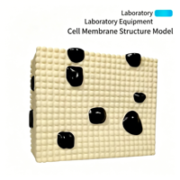 Modèle de structure de membrane cellulaire J33303, structure à trois couches, organisation des protéines, des lipides, des molécules, biologique