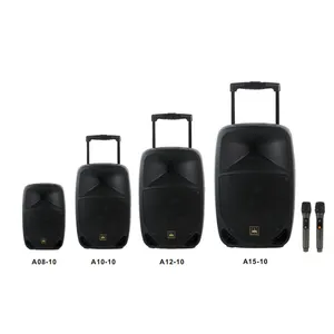T 15 Inch New Multifunction Party Active DJ PA Subwoofer Portable Trolley Party Speaker With Bluetooth Function 60W