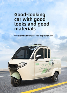 <b>2</b>-<b>Seater</b> <b>Electric</b> Tricycle with Rear Cargo Area, 200-300kg Load Capacity - Product Image 3