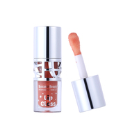 Gloss repulpant pour les lèvres végétalien mignon, marque privée, gloss hydratant pour les lèvres, huile teintée, ingrédients minéraux, effet brillant