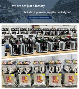 Kit Completo di Ricambi per Macchine per Slush, Compatibile con la Maggior Parte dei Marchi, Include Lame, Cinghie, Cuscinetti e Guarnizioni. - Product Image 6