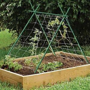Piquets de jardin en fibre de verre pour le soutien des plantes - Product Image 4