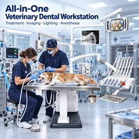 Matériel de clinique vétérinaire OliveVet, lit chirurgical réglable, commande par pédale métallique, unité dentaire portable à LED multicolores