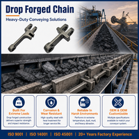 Chaîne de Convoyeur à Grattoirs Forgée par Coulée ISO9001 14001 45001 Gamme Complète Pas de 101.6-260mm Résistance à la Traction 186-700kN Chaîne à Maillons Forgés