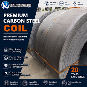 Leveling SS400 S355JR Cold Rolled Precision 50mm 600mm ASTM A1011 Carbon Steel Strip for Pipe Manufac - Product Image 1