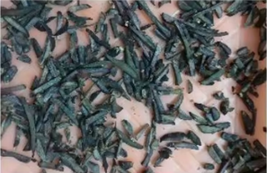 Última Llegada: Rodajas/Hojuelas de Jengibre Seco de Alta Calidad (Kaempferia Parviflora) |   100% Puro y Seco Naturalmente |   Sin químicos | - Product Image 2