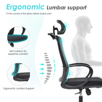 Milieu Du Dos Support Lombaire Fauteuil Visiteur Personnel De Travail Exécutif Ergonomique Chaise De Bureau