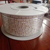 Tira de Luces LED AC 220V/110V SMD 2835 120leds/m 240leds/m, Impermeable IP67, para Iluminación de Obras de Construcción