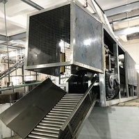 Usine d'Abattage de Porcs Standard avec Équipements de Traitement de Viande de Porc