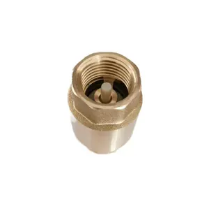 1/2 Inch Brass Spring Loaded Check Valve With ABS Core