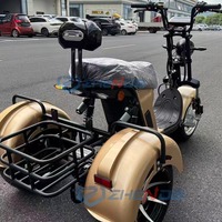 Motocyclette électrique à trois roues certifiée CE, directement de l'usine, avec panier arrière, idéale pour les trajets quotidiens et les loisirs.