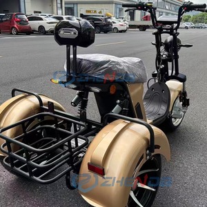 Motocicleta eléctrica de tres ruedas con certificación CE, directa de fábrica, con cesta trasera, ideal para desplazamientos y ocio. - Product Image 5
