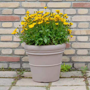 Pots de jardin d'extérieur en plastique transparents auto-arrosants pour bonsaïs <span class=keywords><strong>japonais</strong></span>, type Moka <span class=keywords><strong>Pot</strong></span>, 20 pots dorés pour usage au sol dans les centres commerciaux - Product Image 5