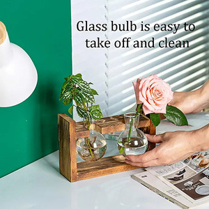 Dropshiping Plant Terrarium With Wooden <b>Stand</b> Desktop Glass Planter Bulb Vase Hydroponics Holder Propagation Station - Product Image 3