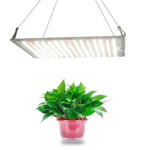 Fabrik Hochwertige LM301B/301H 120W 240W Voll spektrum IR 660nm Indoor Hydro ponic Plant LED Grow Light zu verkaufen