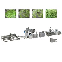 Nouveau Design 2024 Extrudeuse Riz Chips Cracker Cake Machine Crevettes Pellet Making Machine