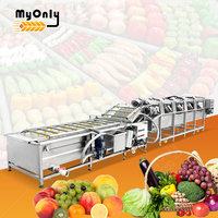 Mijn tomaten-mango-sla-fruit drooglijn en groentewas- en droogmachine