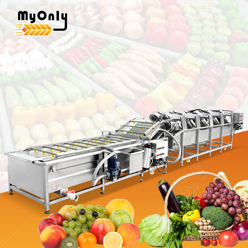 MY Tomato Mango Lettuce Fruit Process