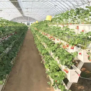 Invernadero agrícola para sistema hidropónico, fresa de canal de PVC de alta calidad, para cultivo de plantas