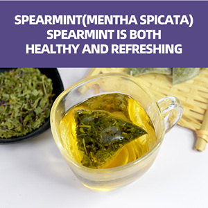 Jiaoming Private Label Spearmint Leaves Tea Pure <strong>Mint</strong> Leaf Bliss for Adults Peppermint <strong>Teabags</strong> - Product Image 5