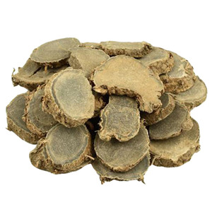 ゼドアリエキスパウダー10/1クルクマゼドリアエキス工場供給 - Product Image 2