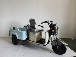 Tricycle électrique, scooter électrique, vélo cargo, tricycle électrique 2200W, voiture de loisirs, tricycle adulte, tricycles électriques cargo - Product Image 1