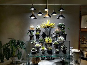 Projecteur horticole professionnel Sunlike COB à spectre complet pour la floraison des plantes <span class=keywords><strong>d</strong></span>'intérieur, le <span class=keywords><strong>d</strong></span>émarrage des semis, les succulentes et les légumes - Product Image 3