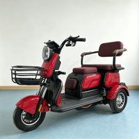 Tricycle électrique à 3 roues de haute qualité, vente directe d'usine chinoise, batterie au plomb-acide 48V500W, tricycle électrique pour adultes à 2 places