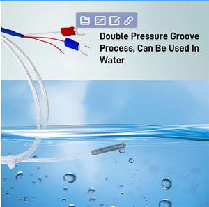 Sonde mit 4mm Durchmesser Flexibler PT100 RTD-Sensor PT1000 Temperatur sensor 3-Draht-PT-Widerstandsdetektor-Thermometer - Product Image 6