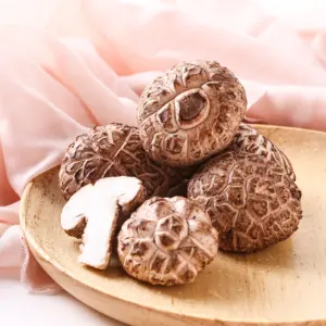 Экзотические китайские свежие грибы шиитаке Дикие грибы
