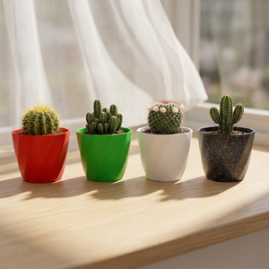 Mini pots à cactus modernes en plastique rouge, vert, blanc, noir pour une utilisation sur le bureau, en intérieur, petite taille - Product Image 1
