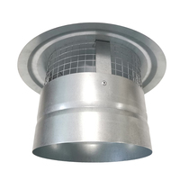 Tuyaux de cheminée en acier inoxydable personnalisés Capot de pluie Capot de vent Capuchons de pluie de cheminée
