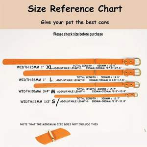 Ensemble Collier et Laisse de Dressage Imperméable pour Pitbull en TPU PVC Cuir Fourrure Décoratif Personnalisable à Imprimer Vente en Gros pour Chiens de Chasse Solide - Product Image 2