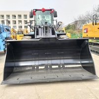 Pala Gommata Elettrica Usata SANY SY960E da 6 tonnellate ad Alto Momento di Carico, Modello SY960 956, con Batteria al Litio per Giardino e Fattoria