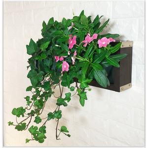 Decoración de Pared, Marco para Fotos, Jardín Vertical, Macetas para Flores - Product Image 3