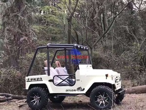 Offre Spéciale Mini Jeep Électrique Tout-Terrain 4x4 Certifié CE 2/4/6 Places Marque RC Prix Bas Fabriqué en Chine - Product Image 5