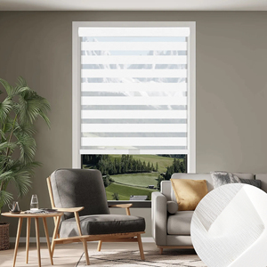 SAMADHI Cordless Blackout Curtain zebra Double-layer Day and Night Curtain Zebra Blinds - Product Image 1