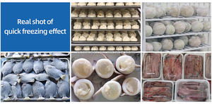 Congelador Comercial de Dos Puertas con Carro de Transporte, Enfriamiento por Aire, Acero Inoxidable, 30 Bandejas para Maquinaria de Alimentos y Bebidas - Product Image 5