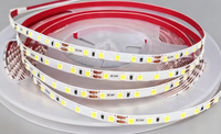 Bande lumineuse LED flexible personnalisée 2835 DC 12V/24V 5MM en acier inoxydable plaqué, ruban lumineux IP67, CRI90, multi-contrôle