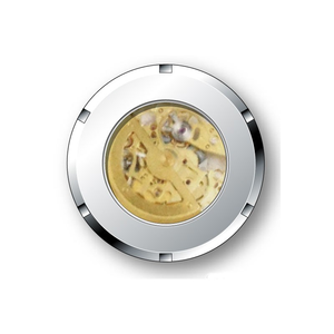 <span class=keywords><strong>Orologio</strong></span> da Polso con Movimento Meccanico <span class=keywords><strong>Automatico</strong></span> SEIKO Giappone di Alta Gamma in Acciaio Inossidabile per Uomo Analogico Rotondo con <span class=keywords><strong>Cinturino</strong></span> in Vera <span class=keywords><strong>Pelle</strong></span> - Product Image 4