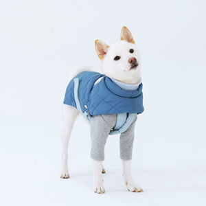 Abrigo de Invierno para Mascotas Dafeel, Impermeable, Reflectante, de Algodón Grueso, Ropa para Perros Corgi, Estilo Clásico Sólido, Artículos para Mascotas - Product Image 1