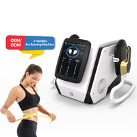 Vente directe usine Appareil de massage corporel ABS pour le renforcement musculaire, la combustion des graisses, le lifting des fesses, le remodelage/affinement corporel et la lutte contre la cellulite