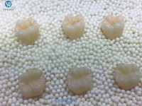Cad Cam Blok Keramik Zirkonia Dental, Laboratorium Dental untuk Porselen Gigi Palsu Yang Dilapisi Blok Zirkonia Dalam Warna ST