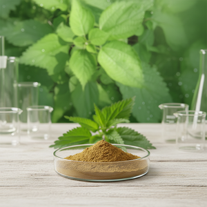 Extrait de Cohosh noir de qualité alimentaire <span class=keywords><strong>Wellgreen</strong></span> à bas prix, additif alimentaire pour plantes, extrait en poudre par extraction par solvant, plante entière sous vide - Product Image 4